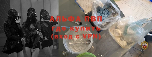 ешки Гусев
