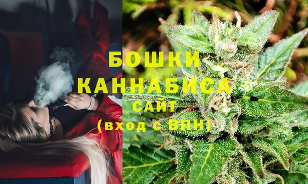 jwh Гусь-Хрустальный