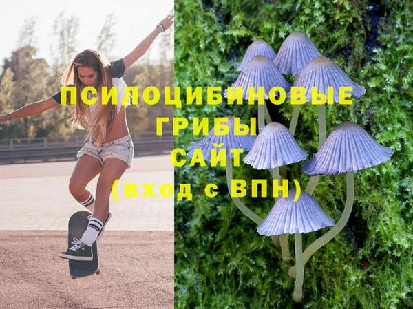 стаф Гусиноозёрск