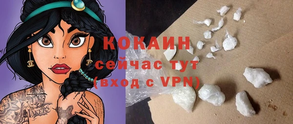 jwh Гусь-Хрустальный