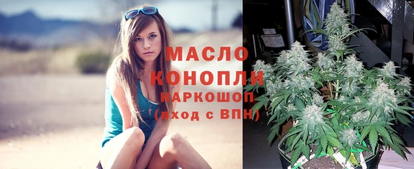 стаф Гусиноозёрск