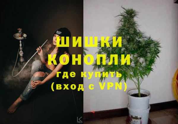 ешки Гусев