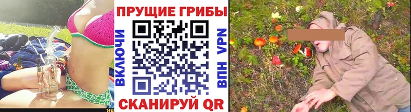 Купить закладки  Петров Вал  Псилоцибиновые грибы Magic Shrooms 
